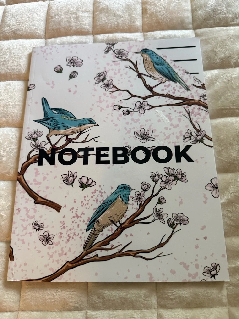 LOW VISION Bold Paper Notebooks Lot of 2  NWT